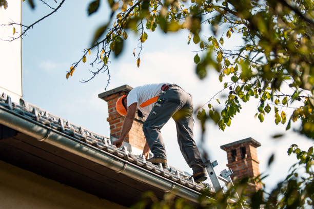 Best Commercial Roofing Services  in Ckam Housing, HI